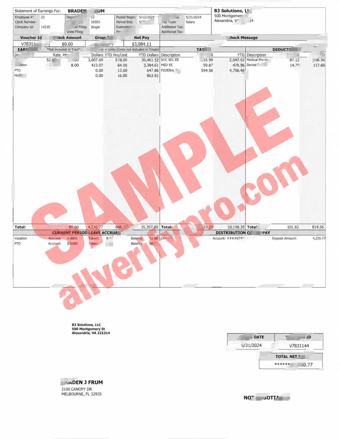 USA B3 Solutions LLC Paystub Word and PDF Template
