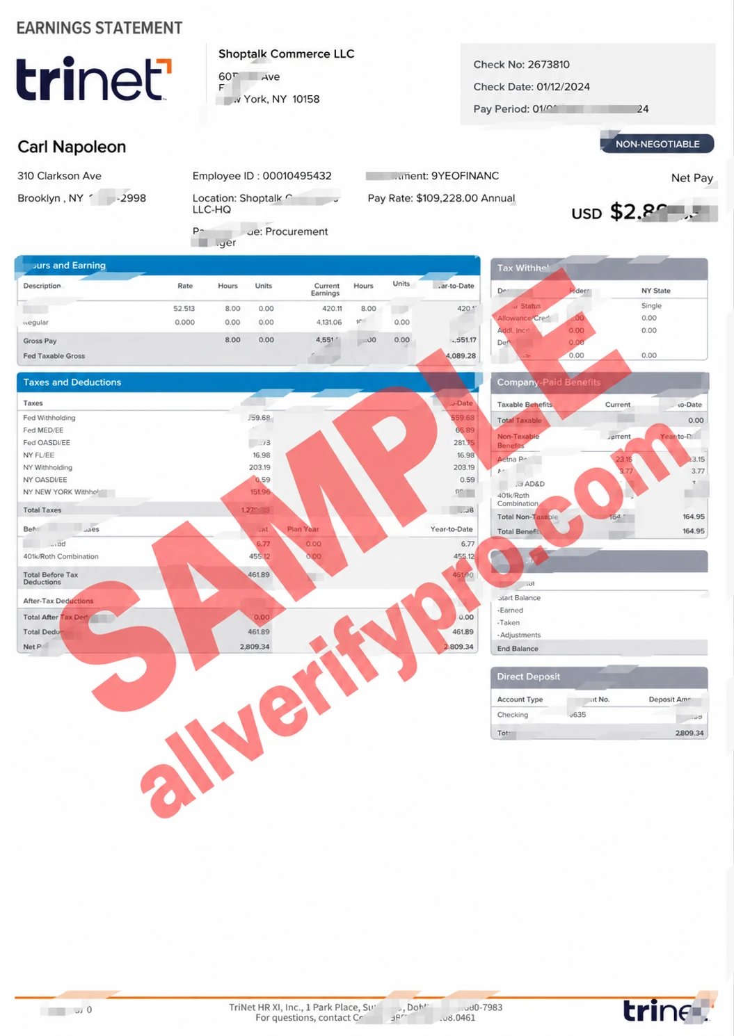 USA TriNet Earnings Statement Word and PDF Template