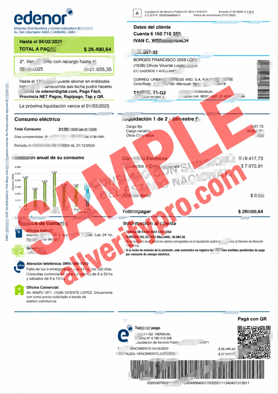 Argentina EDENOR Invoice Template in Word and PDF Format