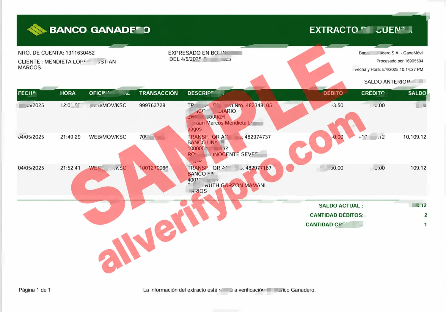 Bulgarian DSK Bank Statement Word and PDF Templates