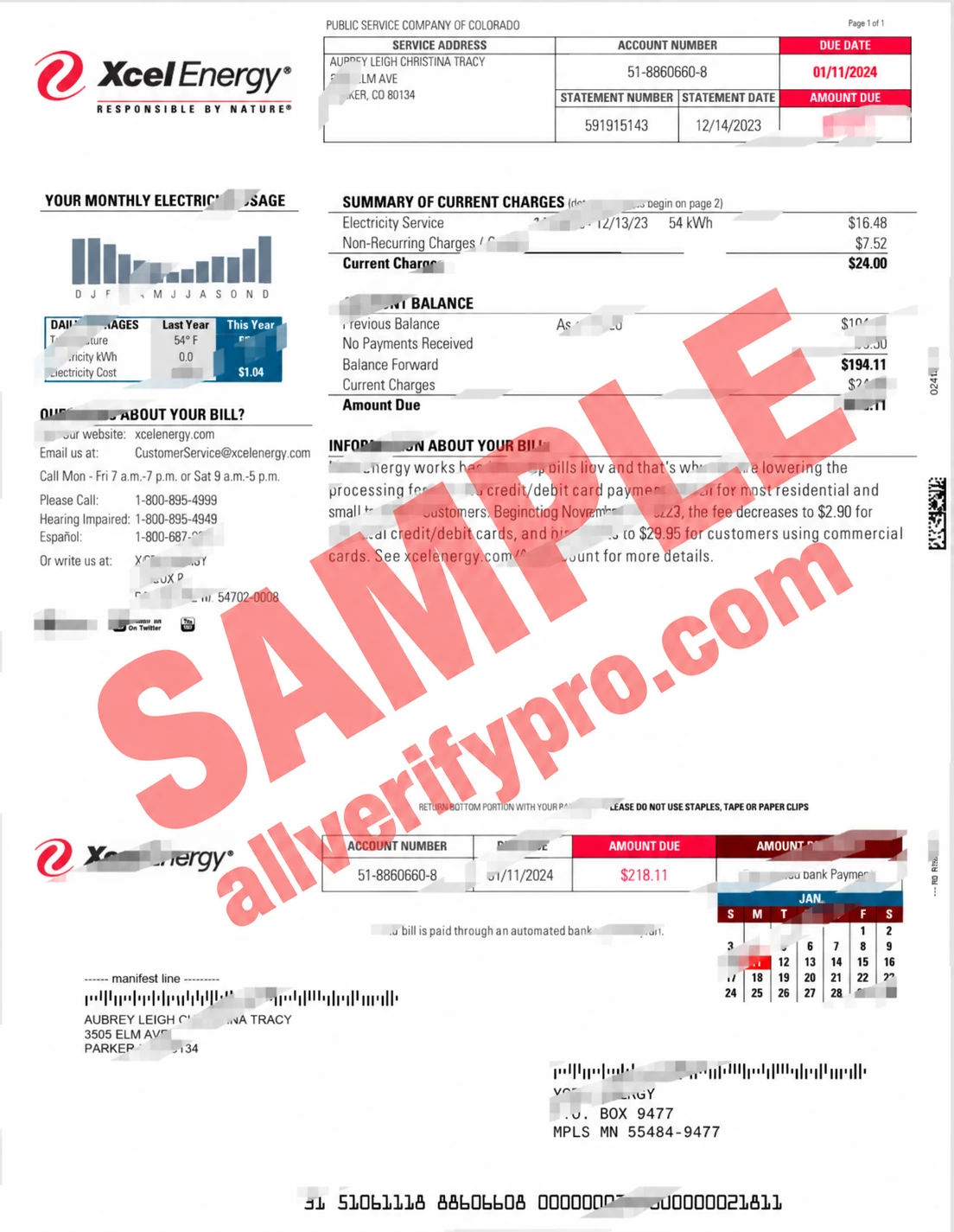 US Xcel Energy Utility Bill (Word and PDF Templates)
