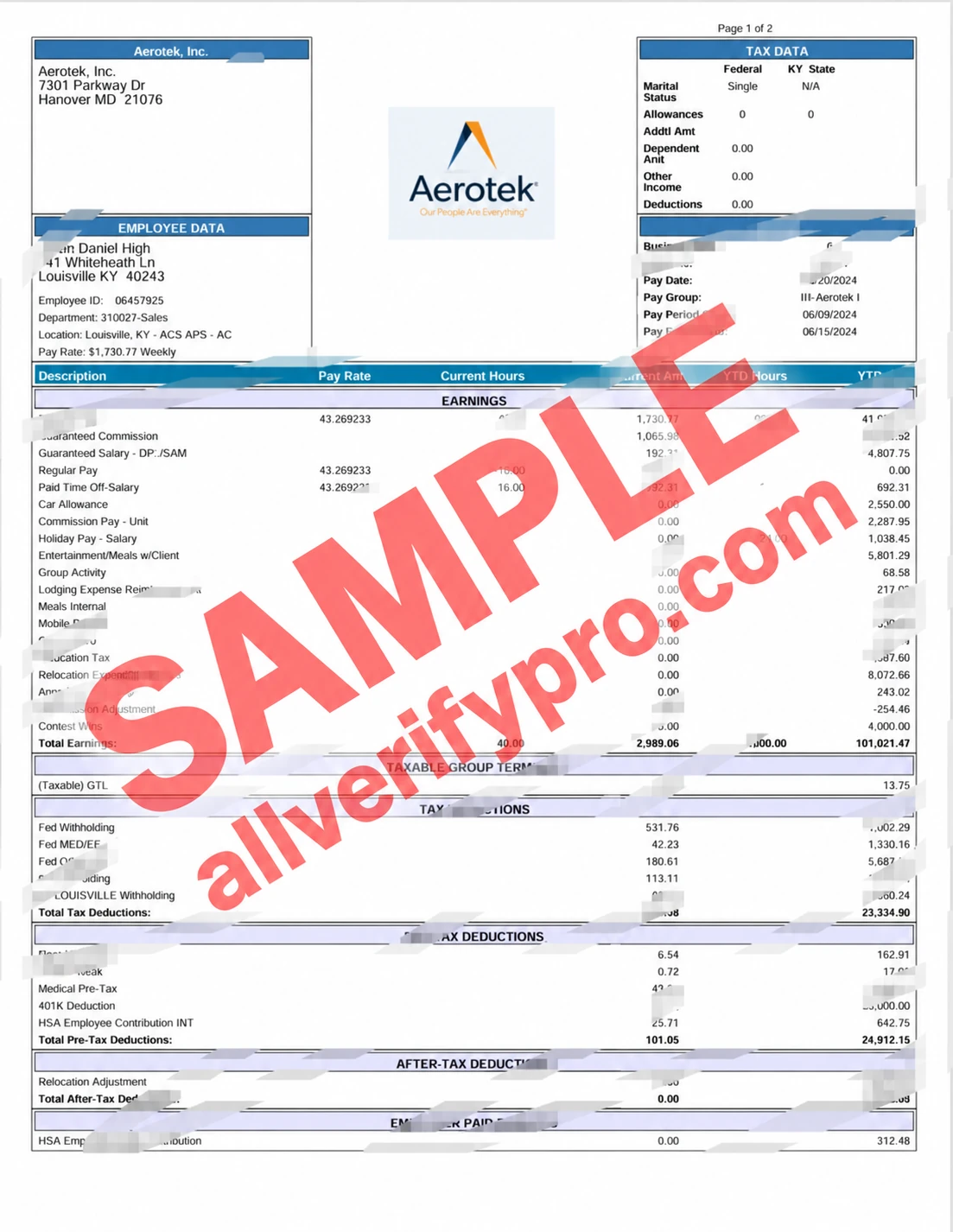 American Airlines Tech Payroll Template (Word and PDF formats) (12 pages)