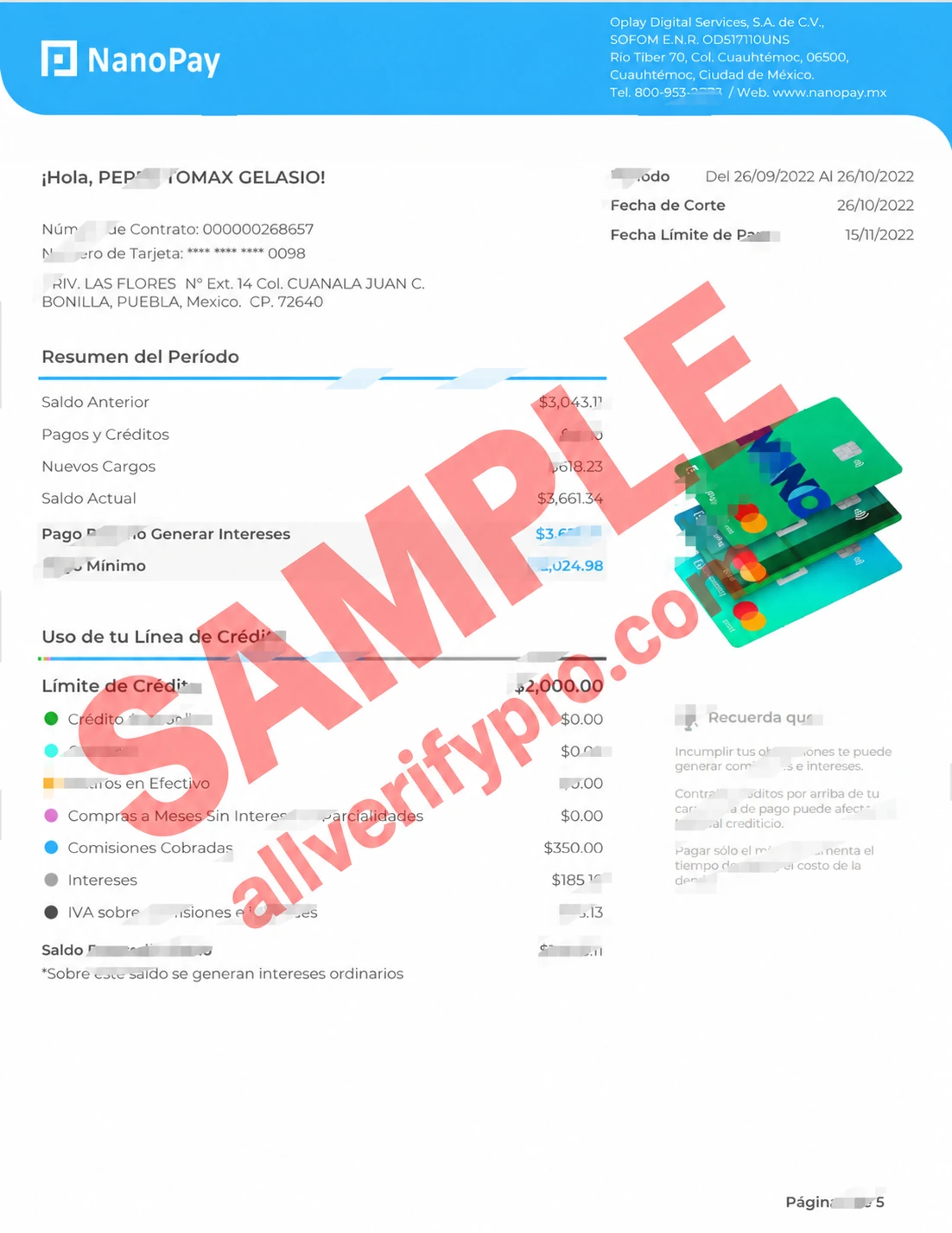 Mexico NanoPay Credit Card Statement Word and PDF Template (5 Pages)