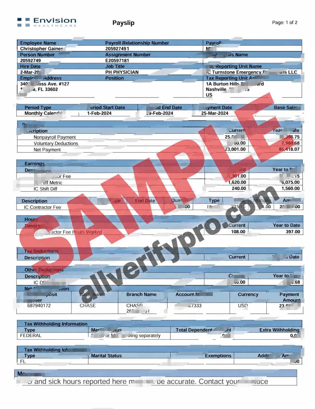 Шаблоны расчётного листка Envision Healthcare, США, в форматах Word и PDF (6 страниц)