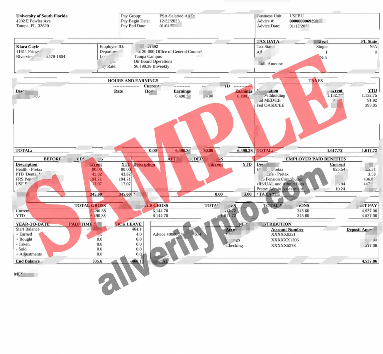 Templat slip gaji University of South Florida Amerika Serikat dalam format Word dan PDF (2 halaman)