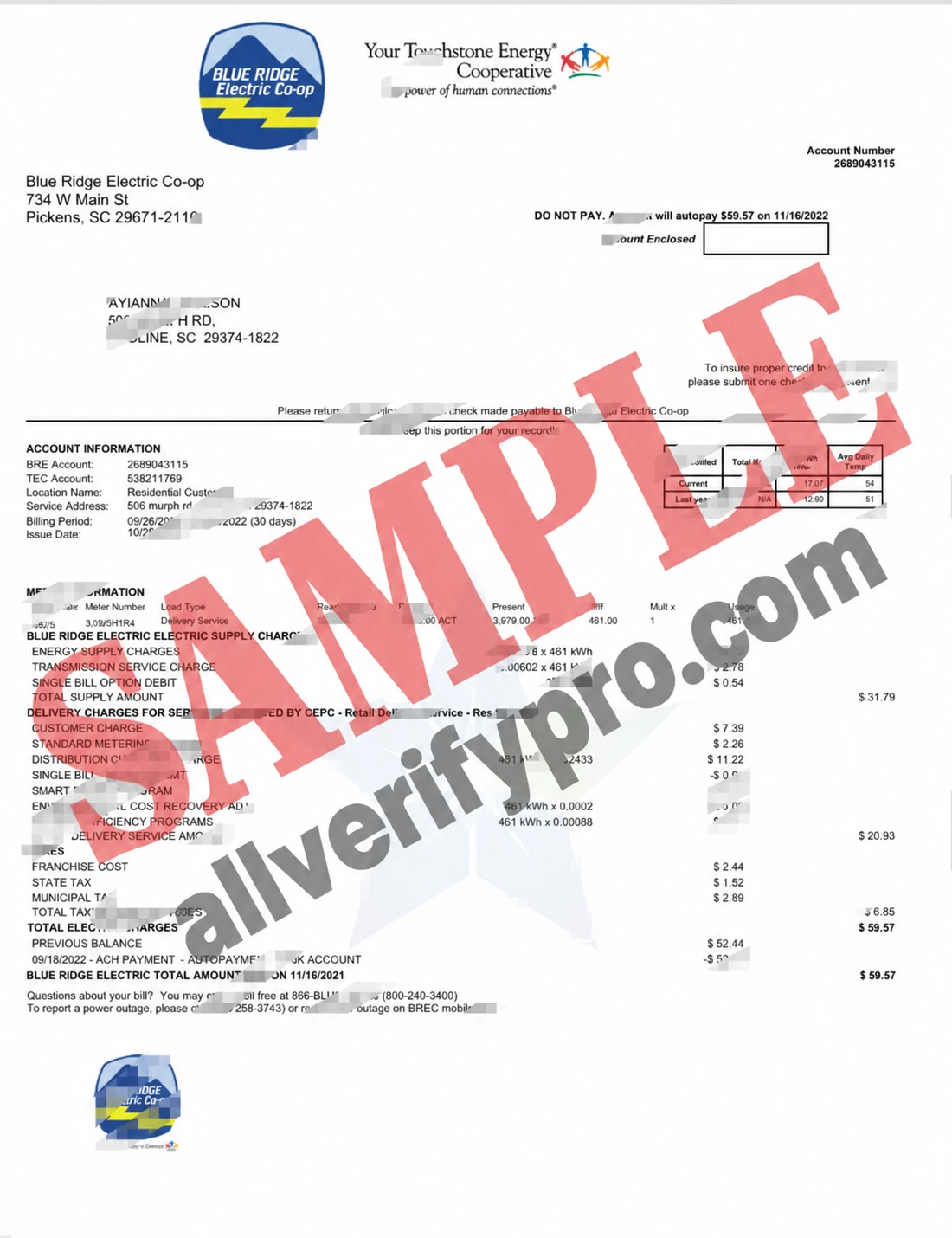 Шаблон счёта за электроэнергию Blue Ridge Electric Co-op (США) в форматах Word и PDF