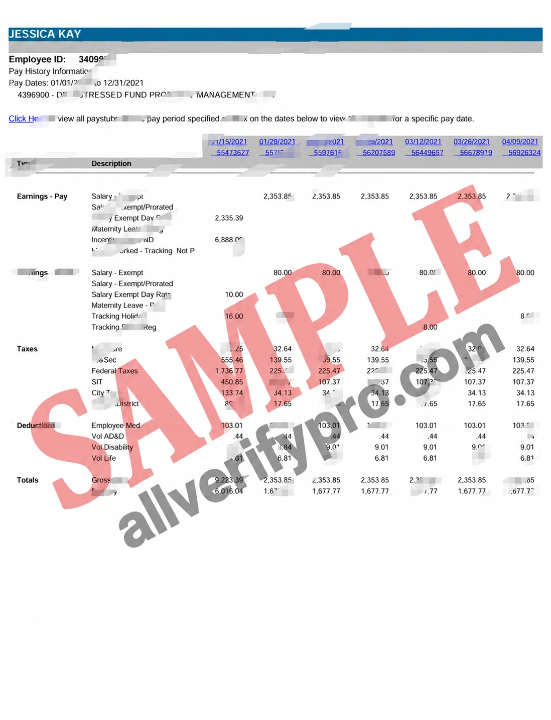 Word- und PDF-Vorlage für eine Gehaltsabrechnung von Distressed Fund Property Management, USA (4 Seiten)