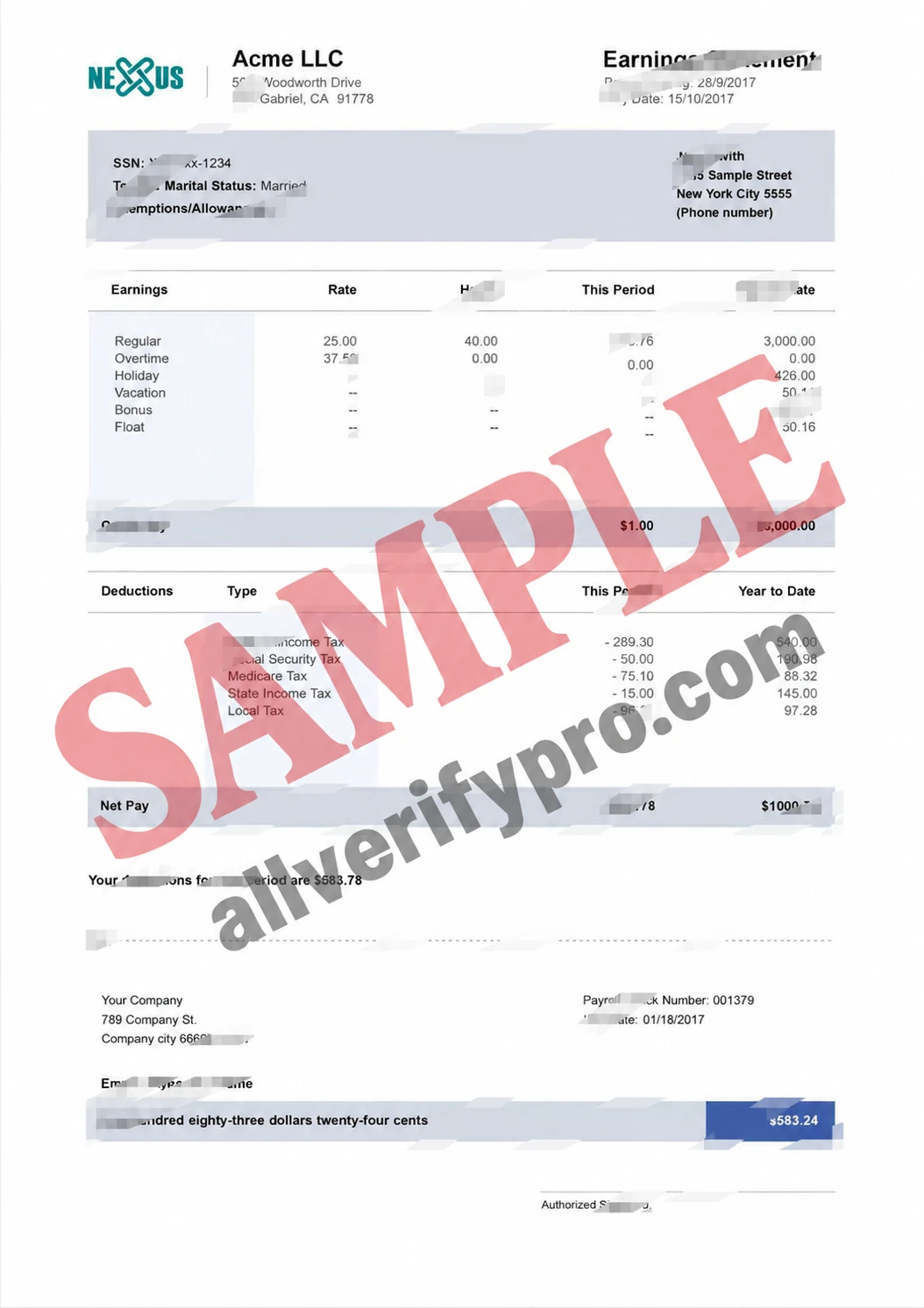 Word- und PDF-Vorlagen für Finanzberichte von Acme LLC, USA