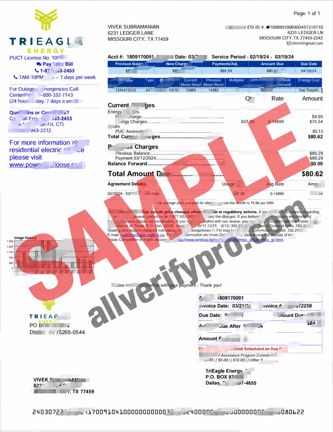 USA TriEagle Energy Utility Bill Word and PDF Template