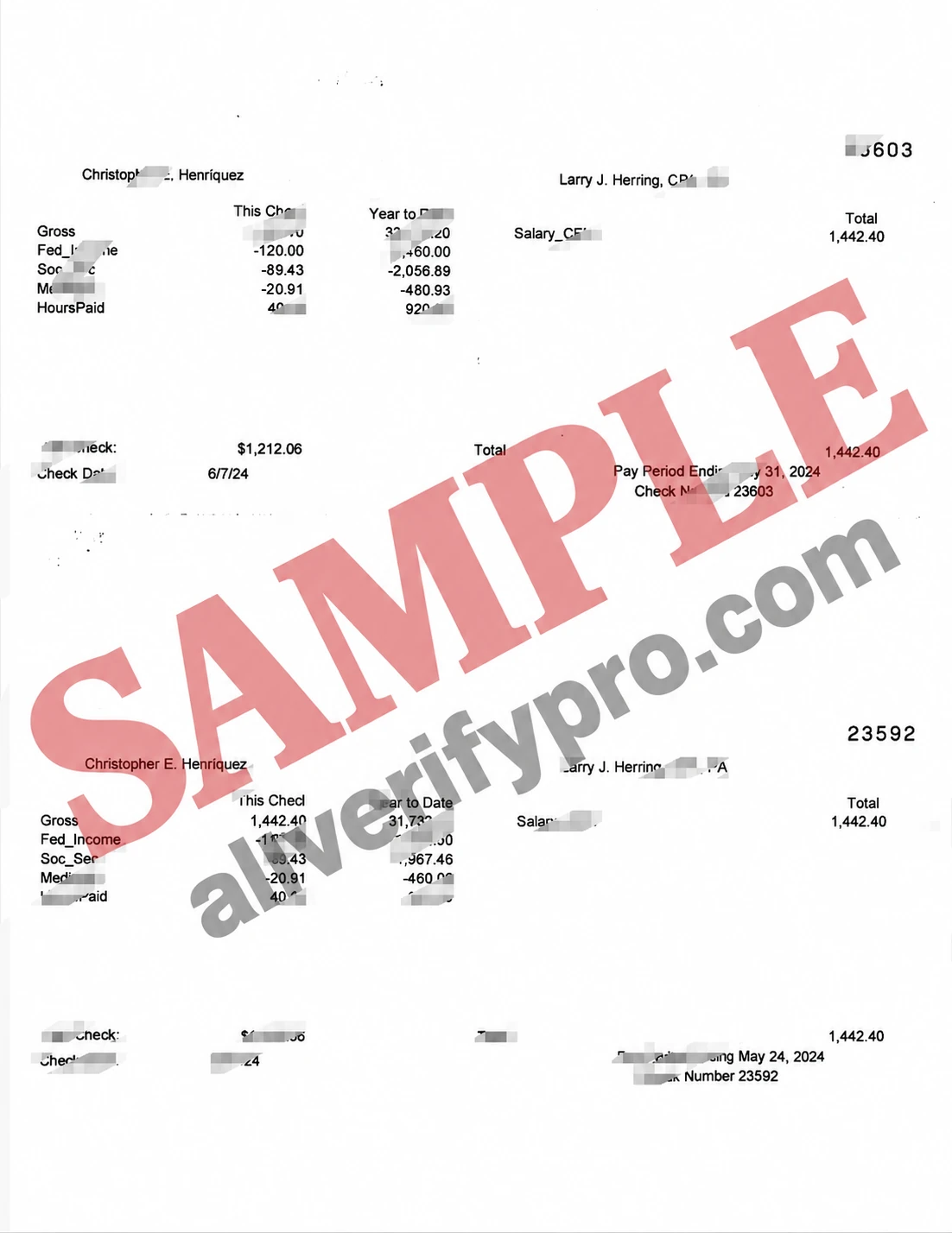Templat Slip Gaji Larry J Herring Amerika Serikat dalam Word dan PDF (2 halaman)