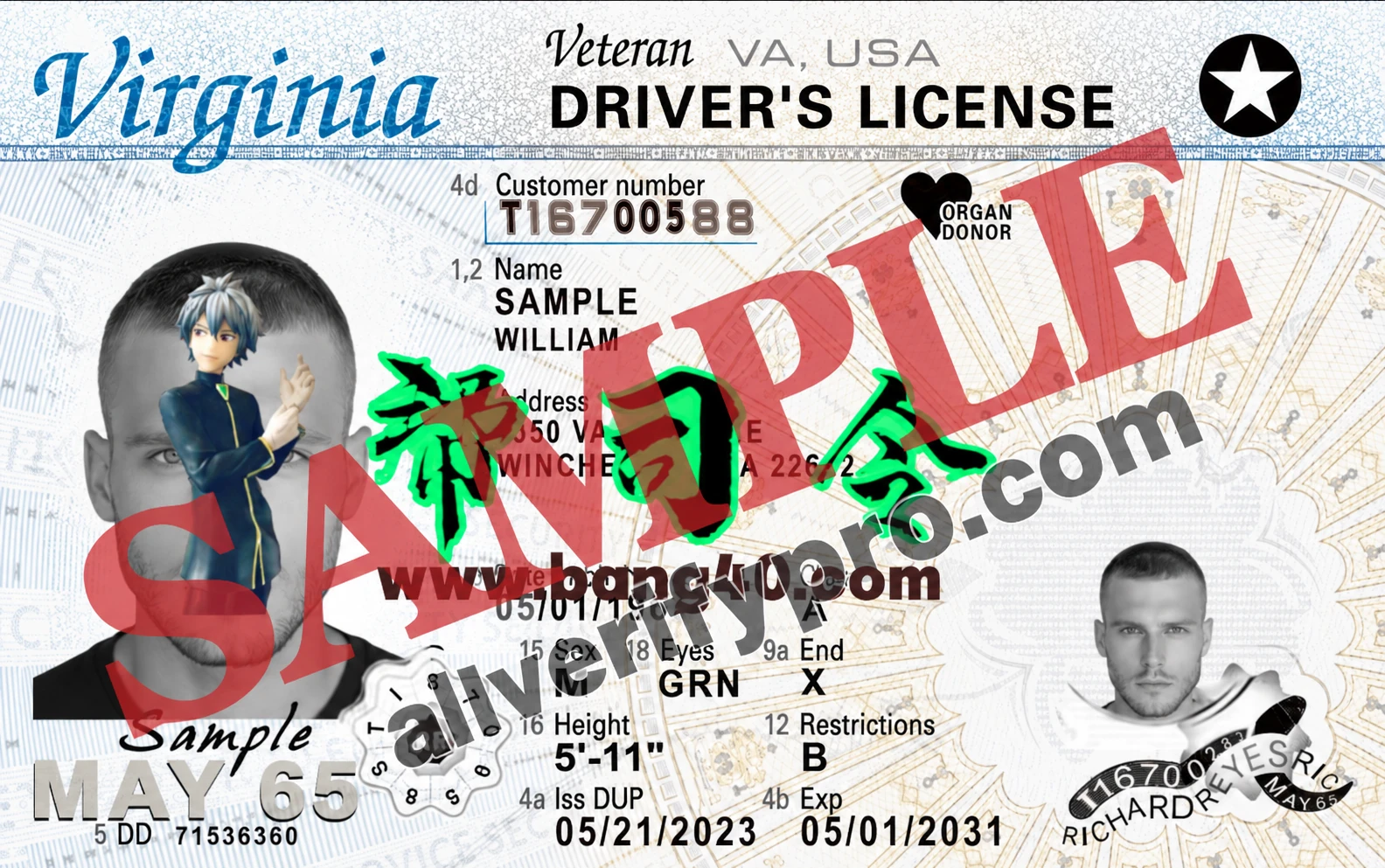 Virginia Driver's License PSD Template (Version 2026)