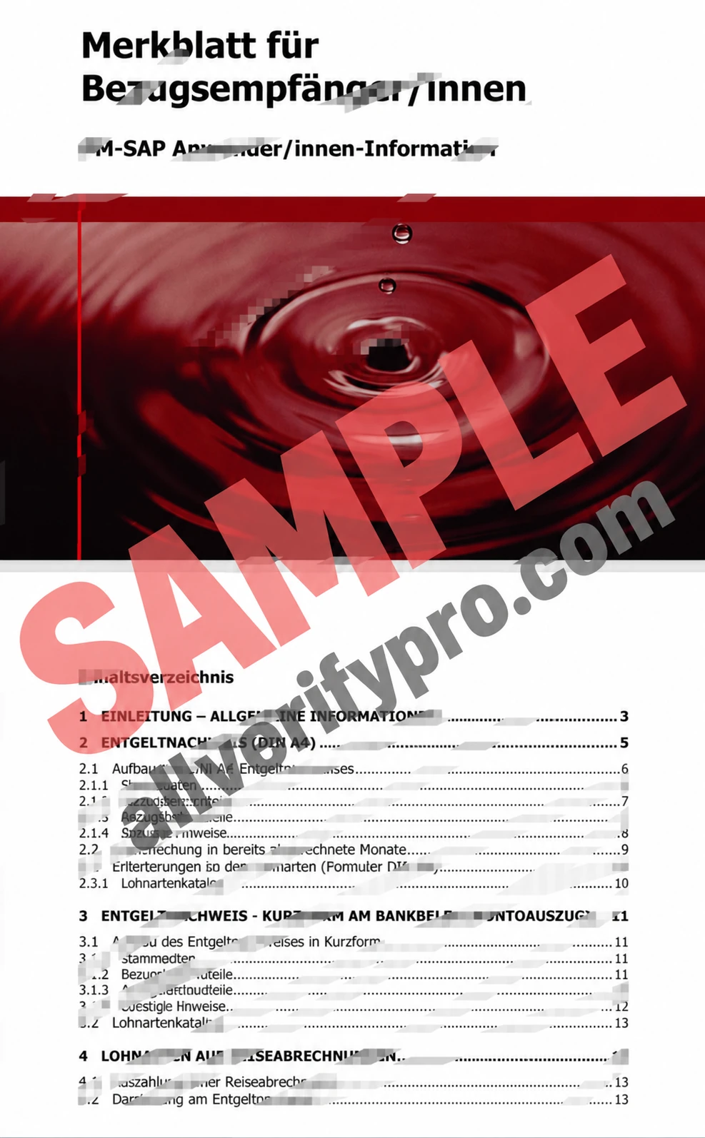 Austrian Federal Ministry of Finance Payslip Template (Word and PDF, 13 pages)